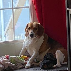 Meet your Posher, Kelli